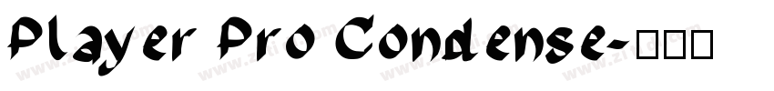 Player Pro Condense字体转换